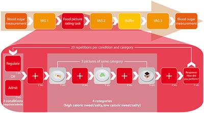 Non-invasive Prefrontal/Frontal Brain Stimulation Is Not Effective in Modulating Food Reappraisal Abilities or Calorie Consumption in Obese Females